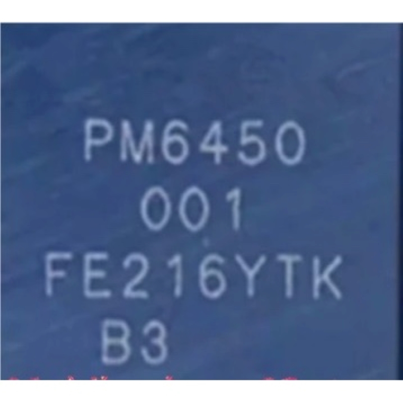PM POWER IC PM6450 001.jPEG